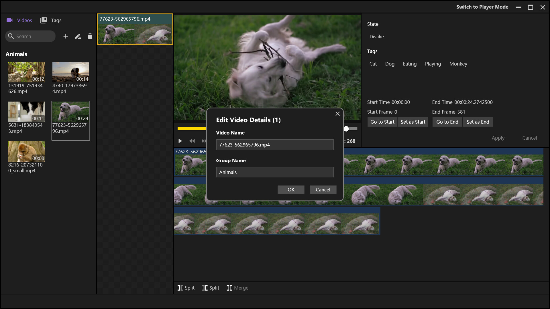 XPlayer screenshot 4