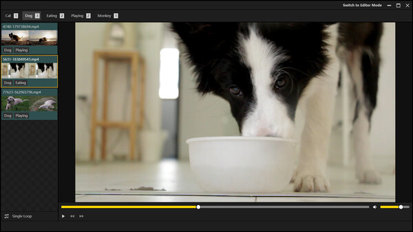 XPlayerfor windows and Linux 1