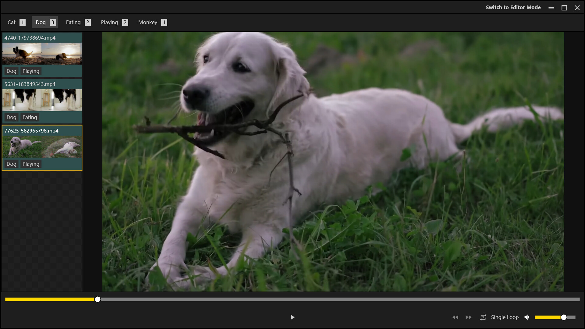 XPlayer PC gameplay screenshot 5 of 5