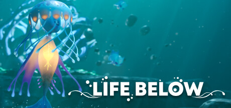 Life Below cover