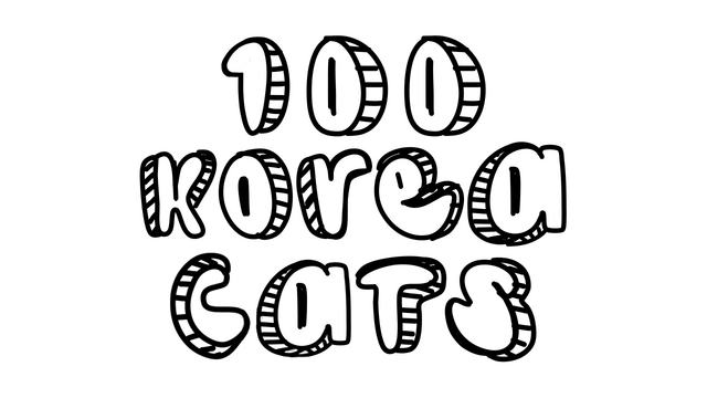 100 Korea Cats