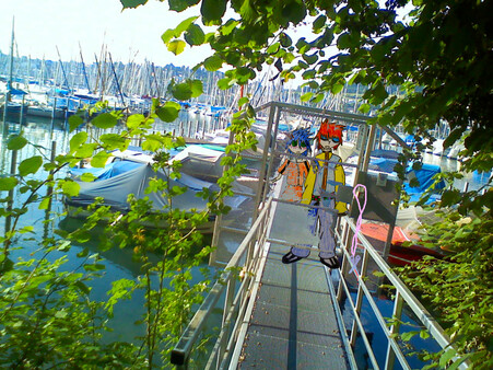 tomorrow is my birthdayfor windows and Linux 1