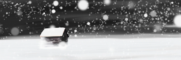 snow4.gif?t=1716223016