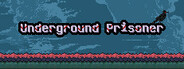 Underground Prisoner