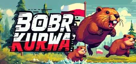 BOBR KURWA Cover Image