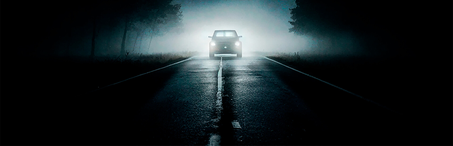 Library Hero - Steam library hero banner