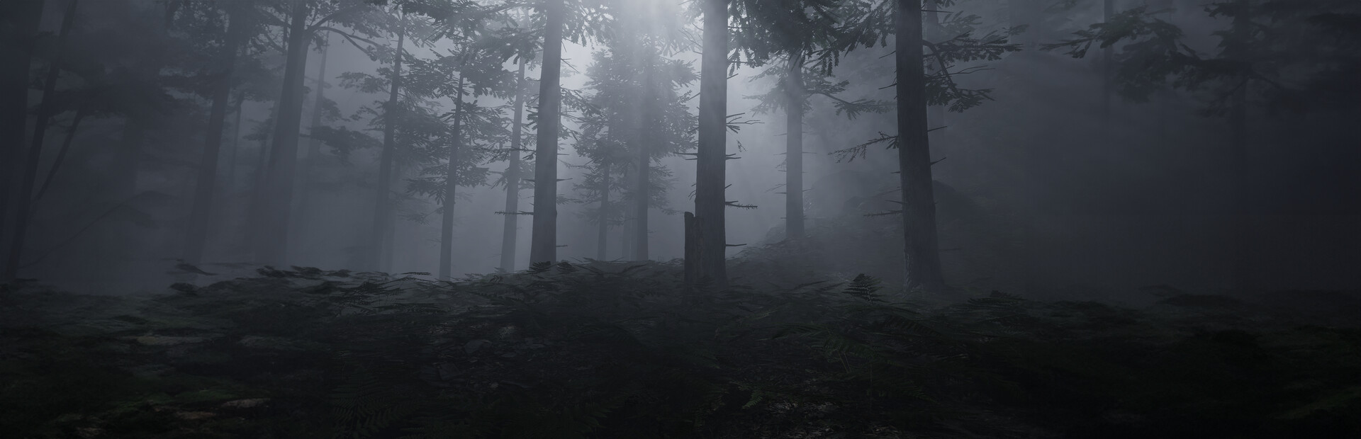 Library Hero - Steam library hero banner