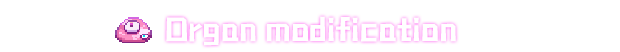 1y.png?t=1716811970