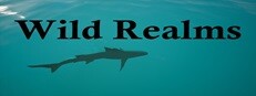 Wild Realms 게임 이미지