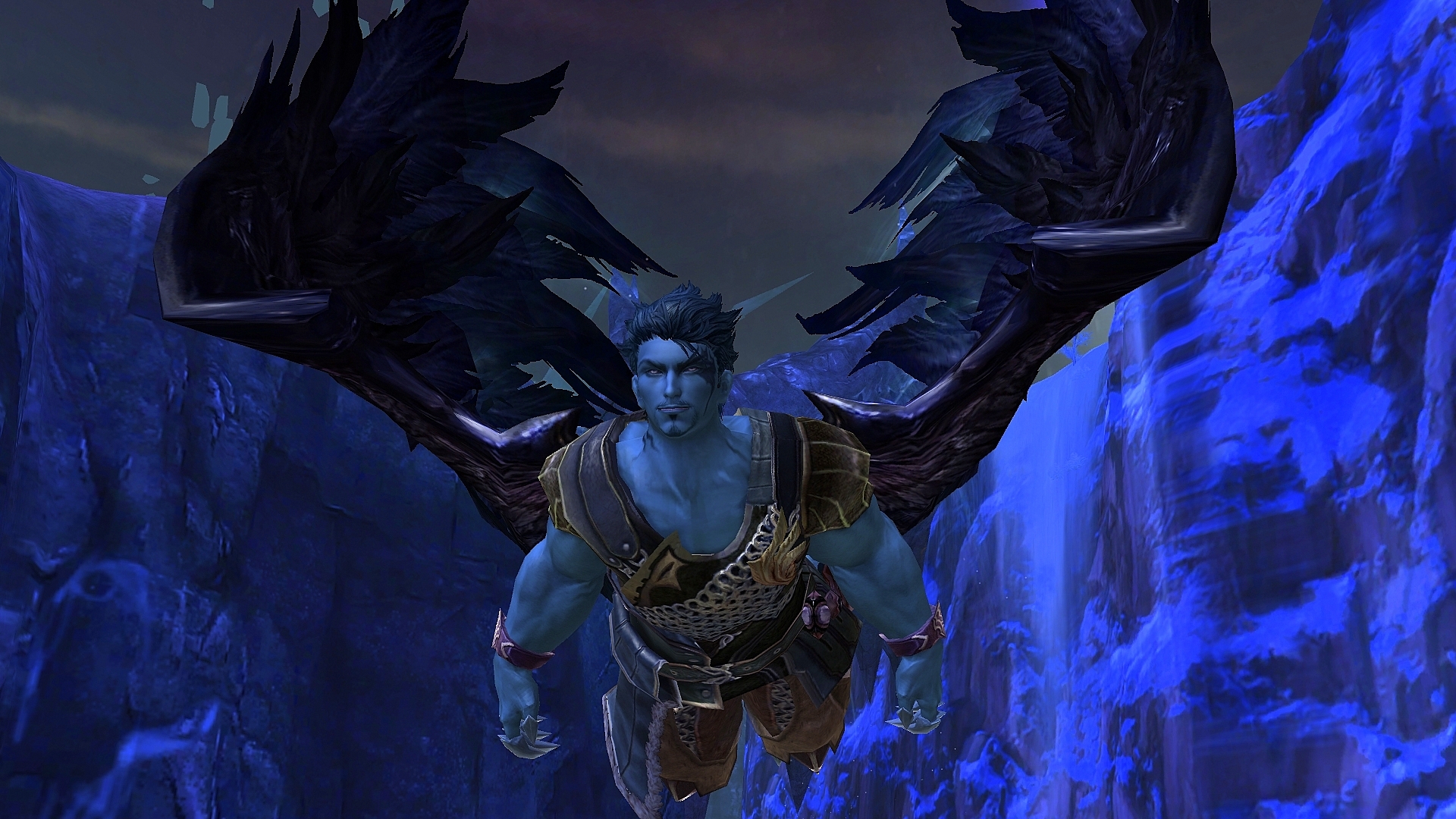 Aion™: Limited Collector's Edition #6