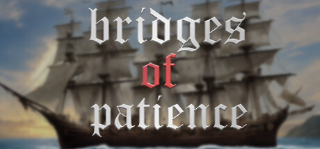 Bridges of Patience Cover Image