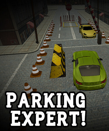 Parking Expert!