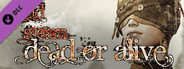 RPG Maker VX Ace - Dead or Alive