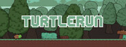 TurtleRun