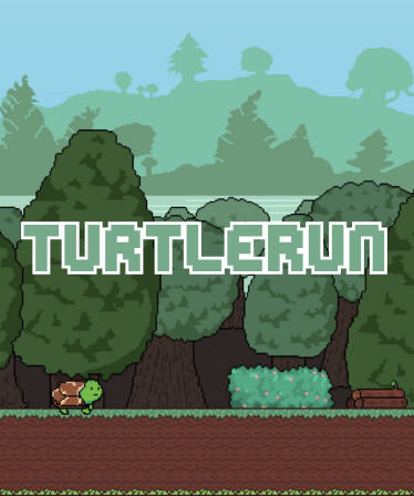 TurtleRun