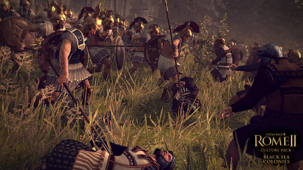 скриншот Total War: ROME II -  Black Sea Colonies Culture Pack 3