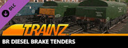 Trainz 2019 DLC - BR Diesel Brake Tenders