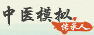 中医模拟传承人