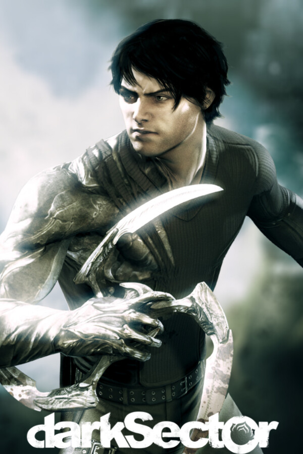 Dark Sector