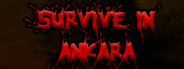 Survive In Ankara