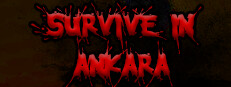 Survive In Ankara