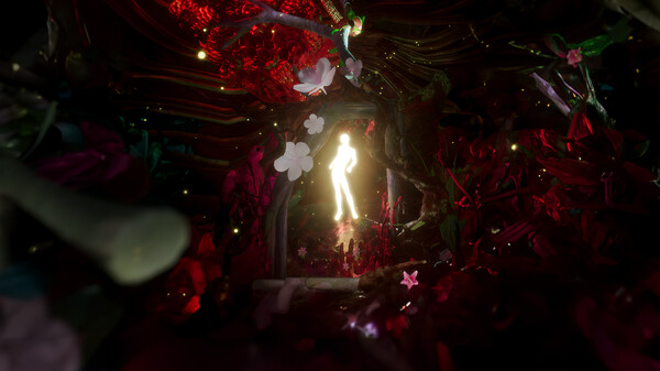 Body of Minefor windows and Linux 1