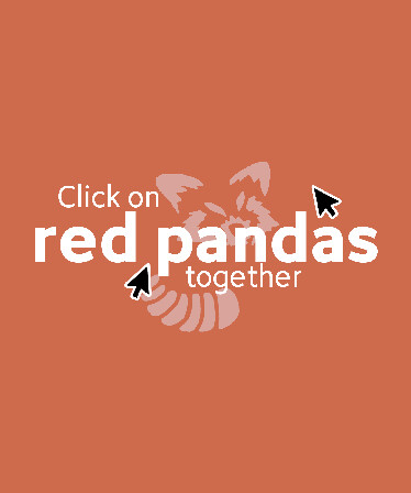 Click on red pandas together