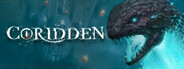 Coridden Playtest