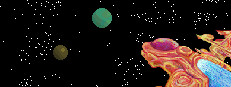 You Belong in the Stars