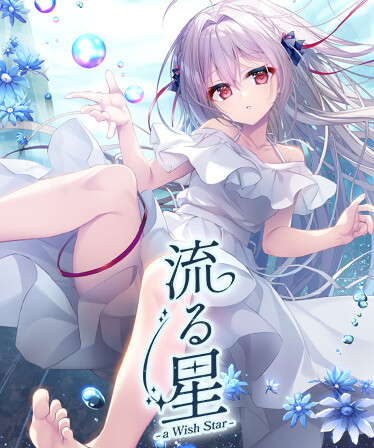 流る星 -a wish star-
