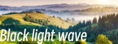 Black light wave 게임 이미지