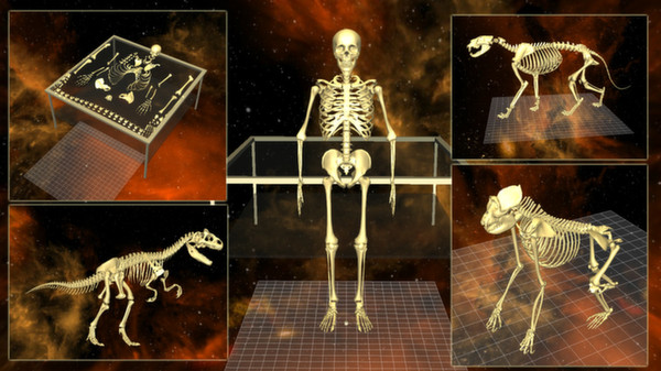 World of Guns: 5 Skeletons Pack for steam World of Guns: 5 Skeletons Pack for steam