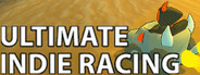 Ultimate Indie Racing
