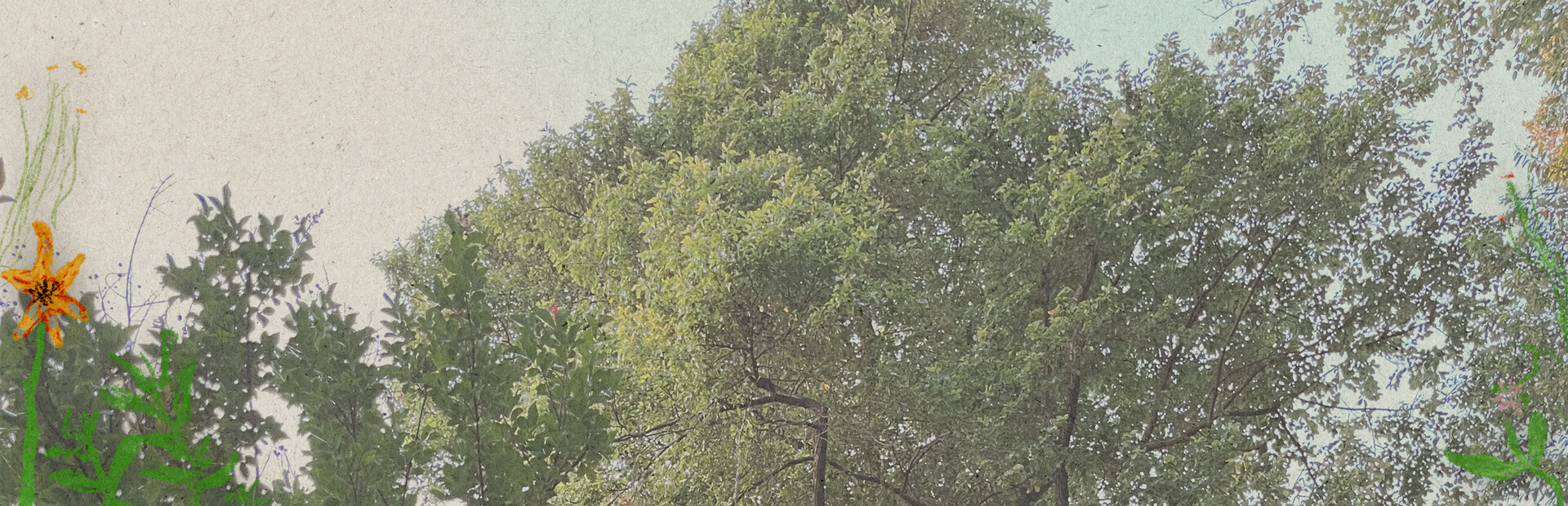 Library Hero - Steam library hero banner