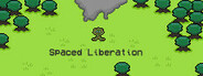 Spaced Liberation Playtest