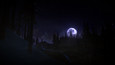 The Long Dark picture8