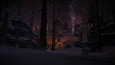 The Long Dark picture19