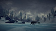 The Long Dark picture9