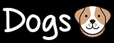 Dogs