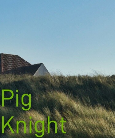 Pig Knight