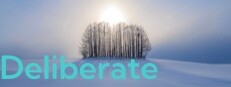 Deliberate