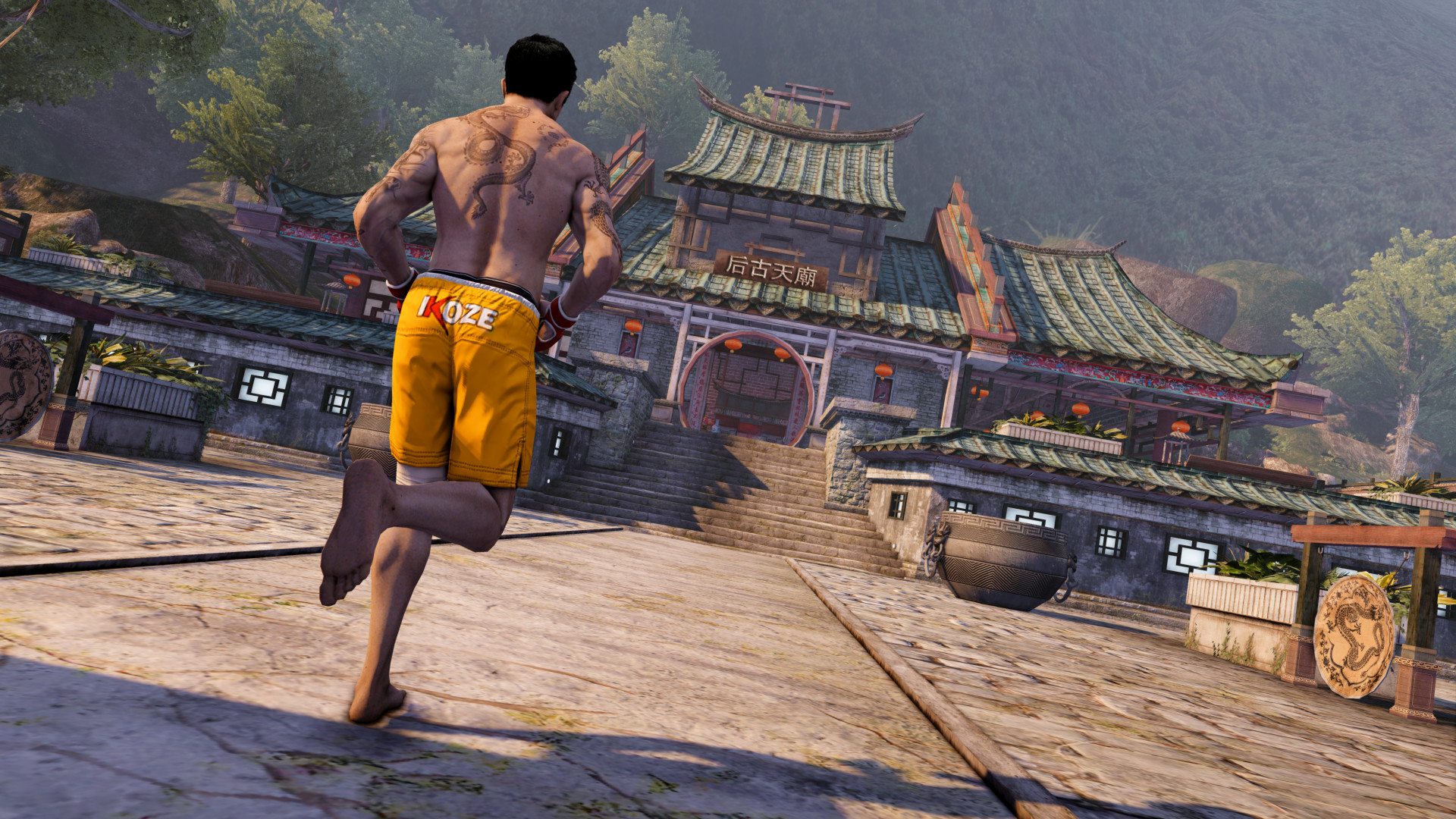 PS4) Sleeping Dogs Definitive Edition HK CHI