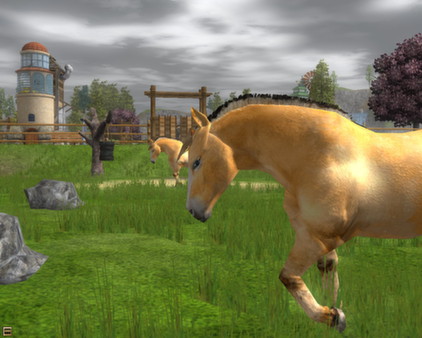 скриншот Wildlife Park 2 - Horses 1