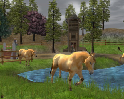 Wildlife Park 2 - Horses