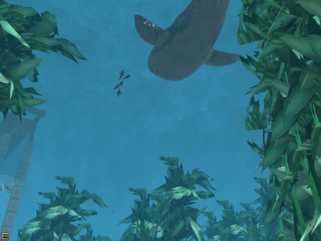 скриншот Wildlife Park 2 - Marine World 0