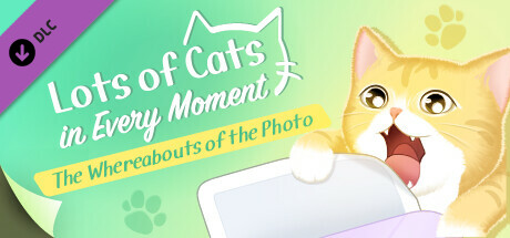 Lots of Cats in Every Moment: The Whereabouts of the Photo banner image