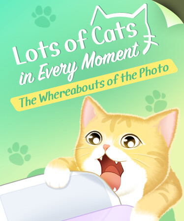 Lots of Cats in Every Moment: The Whereabouts of the Photo
