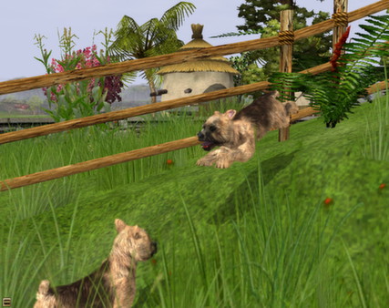 скриншот Wildlife Park 2 - Domestic Animals DLC 1