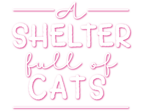 A Shelter Full of Cats