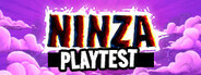 Ninza Playtest